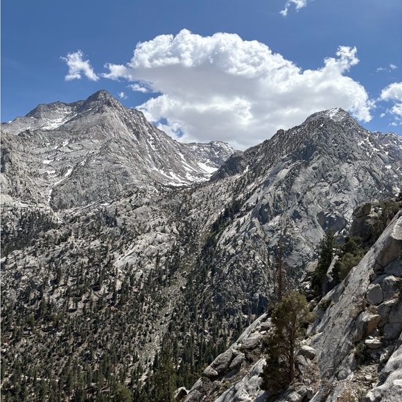 Meet your Posher, Lyss - Picture 1 of 1